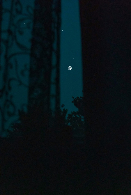 静かな夜の森の写真